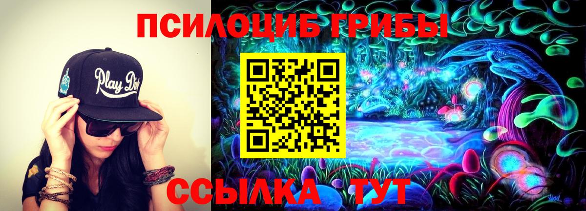 Псилоцибиновые грибы мухоморы  Вход с VPN  Михайловка 