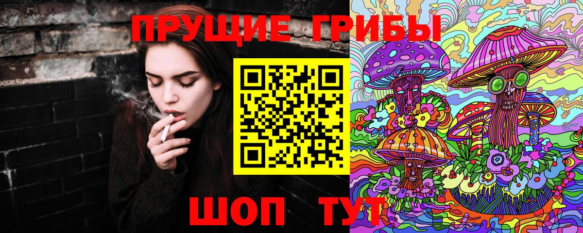 Псилоцибиновые грибы мицелий Михайловка