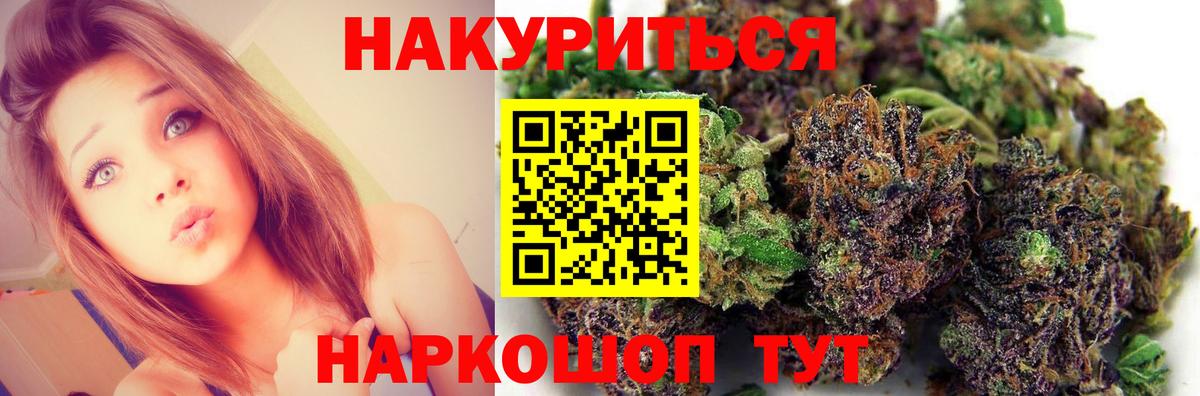 Каннабис гибрид Михайловка